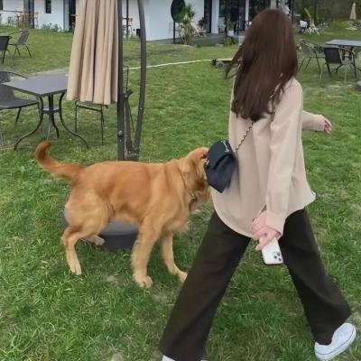 狼群的冲突